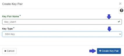Alt Text